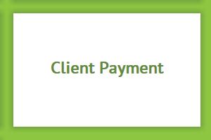 The Client Payment Function